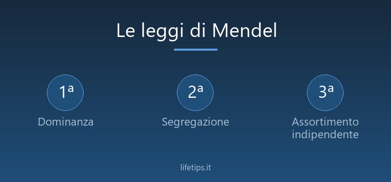 Le leggi di Mendel: genetica e quadrato di Punnett